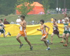 Start . . . McFadden and Marziano