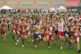 Sophomore Start