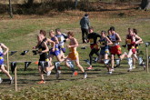 Chris Applegate at 800m