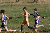 Marc Saccomanno at 800m