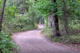 Race course through woods