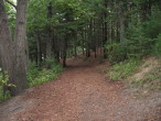 Race course through woods