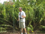 Foley aligns course markers