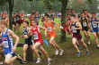 Steve Burkholder crossing to woods