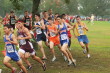 Ryan McNair crossing to woods