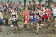 Jeremy Morgan before the woods
