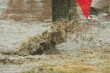 Splash!