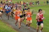 Dave Wallace and Andrew Yang at pond