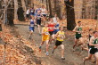 Steve Burkholder at about 800m