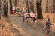 Matt McCarroll at about 800m