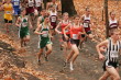 Smith and Bobb at about 800m