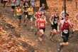 Greg Malloy at about 800m