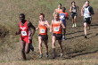 Hornung and Bobb at water-retention ditch