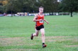 Lowinger before 2nd hill