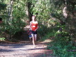 Lynch in woods