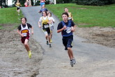 MS