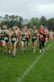 Frosh