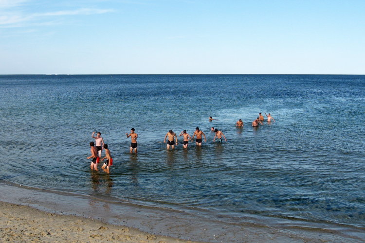 Landing at Martha's Vineyard