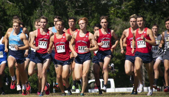 Kelly in unknown race