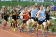 Holmdel 1600