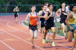 Holmdel 1600