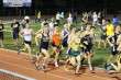 Holmdel 1600