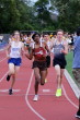 Holmdel 1600