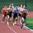Holmdel 1600