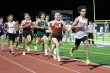Holmdel 1600
